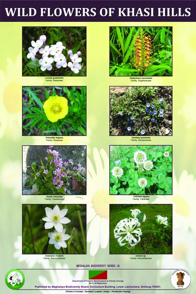 Posters Official website of Meghalaya Biodiversity Board,Government